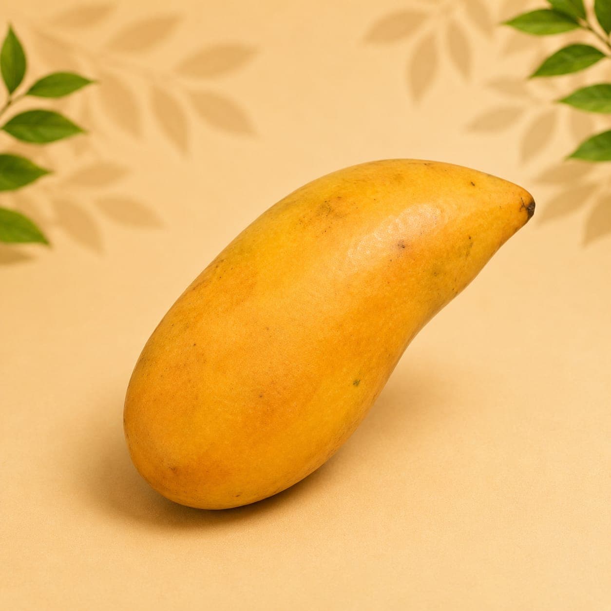 Papaya (Papita)